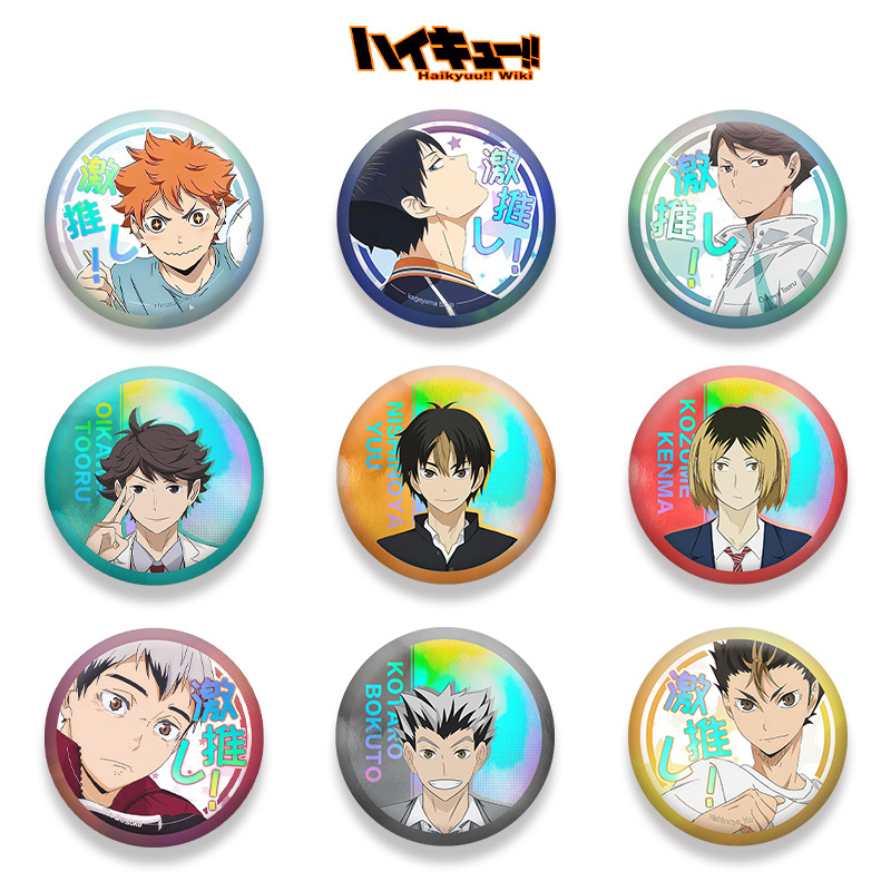 Haikyuu Serie 201 Distintivo d - Anime Merchandise Haikyuu recensione e prezzo