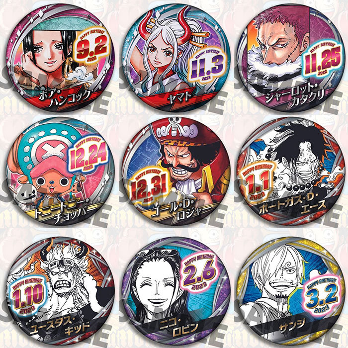 One Piece Anime Distintivo Spi - Anime Merchandise In Chinese recensione e prezzo